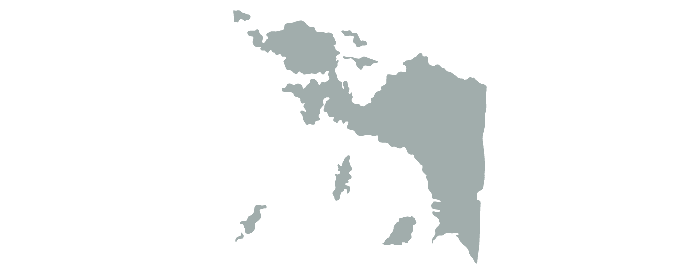 Papua image
