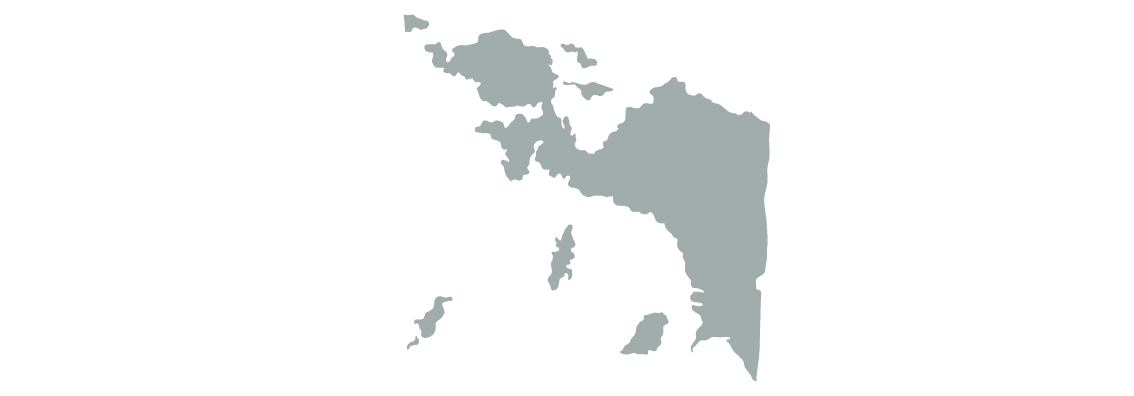 Papua image